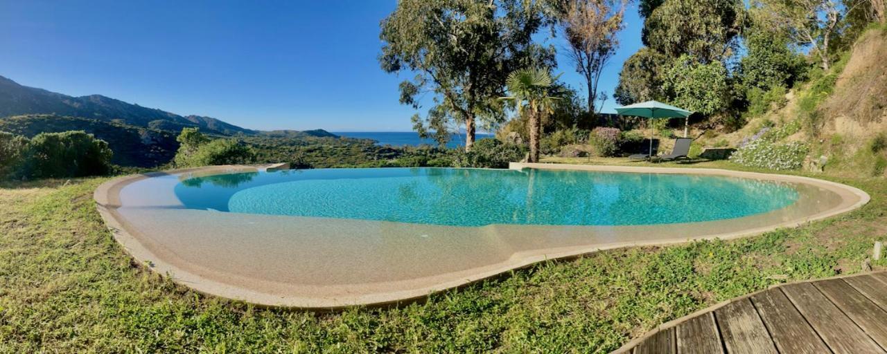 Studio, Vue Sur Mer Et Montagne Saint-Florent  Bagian luar foto