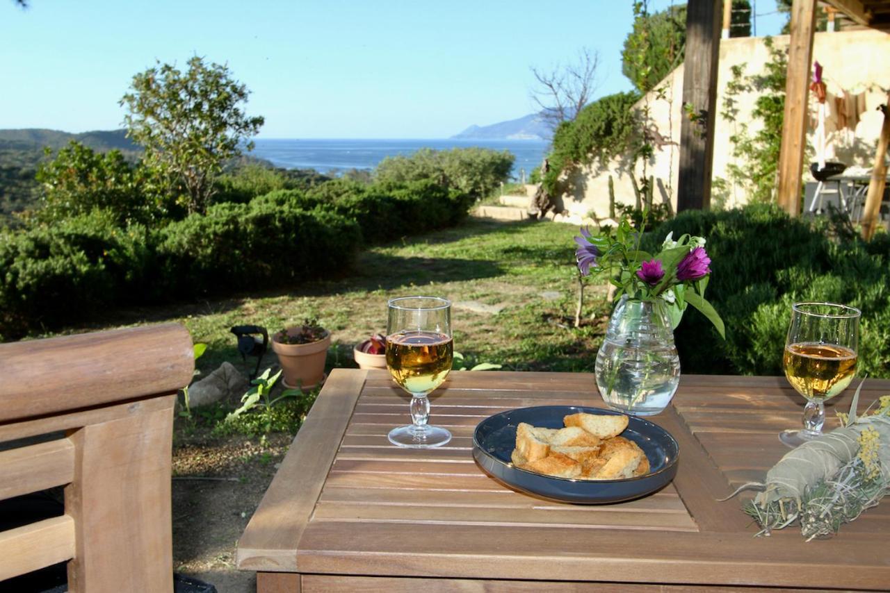 Studio, Vue Sur Mer Et Montagne Saint-Florent  Bagian luar foto